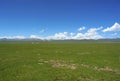 Ruoergai Grassland Royalty Free Stock Photo