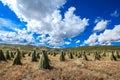 Ruoergai Grassland, Xiahe, Gannan, China Royalty Free Stock Photo
