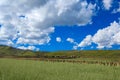 Ruoergai Grassland, Xiahe, Gannan, China Royalty Free Stock Photo