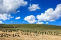 Ruoergai Grassland, Xiahe, Gannan, China