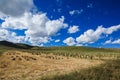 Ruoergai Grassland, Xiahe, Gannan, China Royalty Free Stock Photo