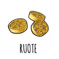 Ruote. Vector vintage engraving color illustration isolated on white background.