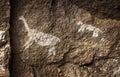 Rupestrian rock art in Sumbay Cave from paleolithic era, Southern Peru Royalty Free Stock Photo