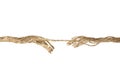 Rupture of hemp rope on white background