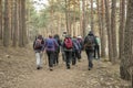 Rura hiking through the pine forest of Valsain, Segovia, Castilla y Leon, Spain