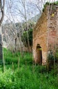 Rural Abandoned Homestead in a rural field