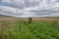 Rural Abbotsbury