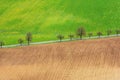 Rural abstract background