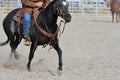 Rural Activity: Dexterous movement of cutting horse