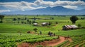 rural african farm Royalty Free Stock Photo