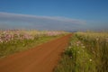 Rural African landscape of the Gauteng Province of South Africa