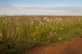 Rural African landscape of the Gauteng Province of South Africa