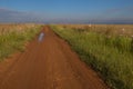 Rural African landscape of the Gauteng Province of South Africa