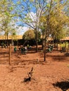 African school showing children playing outside