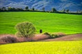 Rural, agricultural spring landscape. fields and hunting cabine Royalty Free Stock Photo