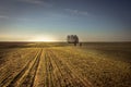 Rural agriculture field at sunrise with people going into distance in forward direction sunrise sky horizon countryside landscape