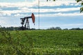 Rural Alberta: Oil Pump jack in the middle of potato field Royalty Free Stock Photo