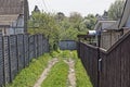 Rural alley with a road in green grass along fences Royalty Free Stock Photo