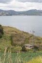 Rural Andean landscape, welsh onion fields, Allium fistulosum, in Aquitania