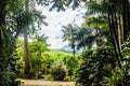 Landscape in Alto JequitibÃÂ¡, Minas Gerais, Brasil