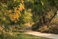 Country road in the autumn - Indian summer