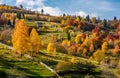 Rural area on hillside in autumn Royalty Free Stock Photo