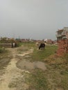 Rural area on India with natural scene