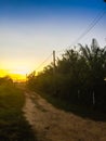 The Rural Area in the Morning with sunrise background and foreground with electric cables. This is for the electricity and