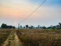 The Rural Area in the Morning with sunrise background and foreground with electric cables. This is for the electricity and