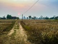 The Rural Area in the Morning with sunrise background and foreground with electric cables. This is for the electricity and Royalty Free Stock Photo