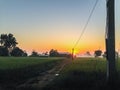 The Rural Area in the Morning with sunrise background and foreground with electric cables. This is for the electricity and Royalty Free Stock Photo