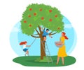 Apple Tree Woman Picking Fruits Kid Playing Vector Royalty Free Stock Photo