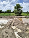 Rural areas do agriculture.  The sun shines and the water evaporates.  There is mud and dirt.  Green trees, rainy season sky Royalty Free Stock Photo