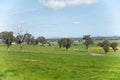 Rural areas point view in regional Australia of Walla Walla town Royalty Free Stock Photo