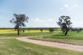 Rural areas point view in regional Australia, Walla Walla town Royalty Free Stock Photo