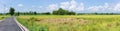 Rural asphalt country road side rice field wide angle panorama landscape view Royalty Free Stock Photo