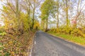 Rural asphalt road between autumn trees Royalty Free Stock Photo