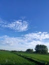 a rural atmosphere in the cool mornings and a very beautiful view of the blue sky, the right color combination between blue green