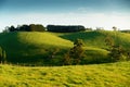 Rural Australia landscape Royalty Free Stock Photo