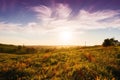 Rural Australia landscape Royalty Free Stock Photo