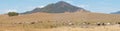Rural Australia panorama landscape cattle country Royalty Free Stock Photo