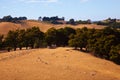 Australia countryside Royalty Free Stock Photo