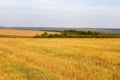 Rural autumn landscape Royalty Free Stock Photo