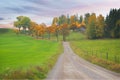 Rural autumn landscape with avenue Royalty Free Stock Photo
