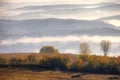 Rural autumn landscape with fog Royalty Free Stock Photo