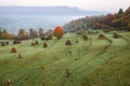 rural autumn landscape with fog and hay stacks Royalty Free Stock Photo