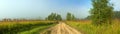 Rural autumn landscape panorama with the road, fog,field, trees Royalty Free Stock Photo