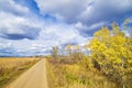 Rural autumn road