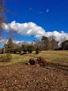 Rural backyard meets industrial electric infrastructure