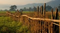 rural bamboo fence